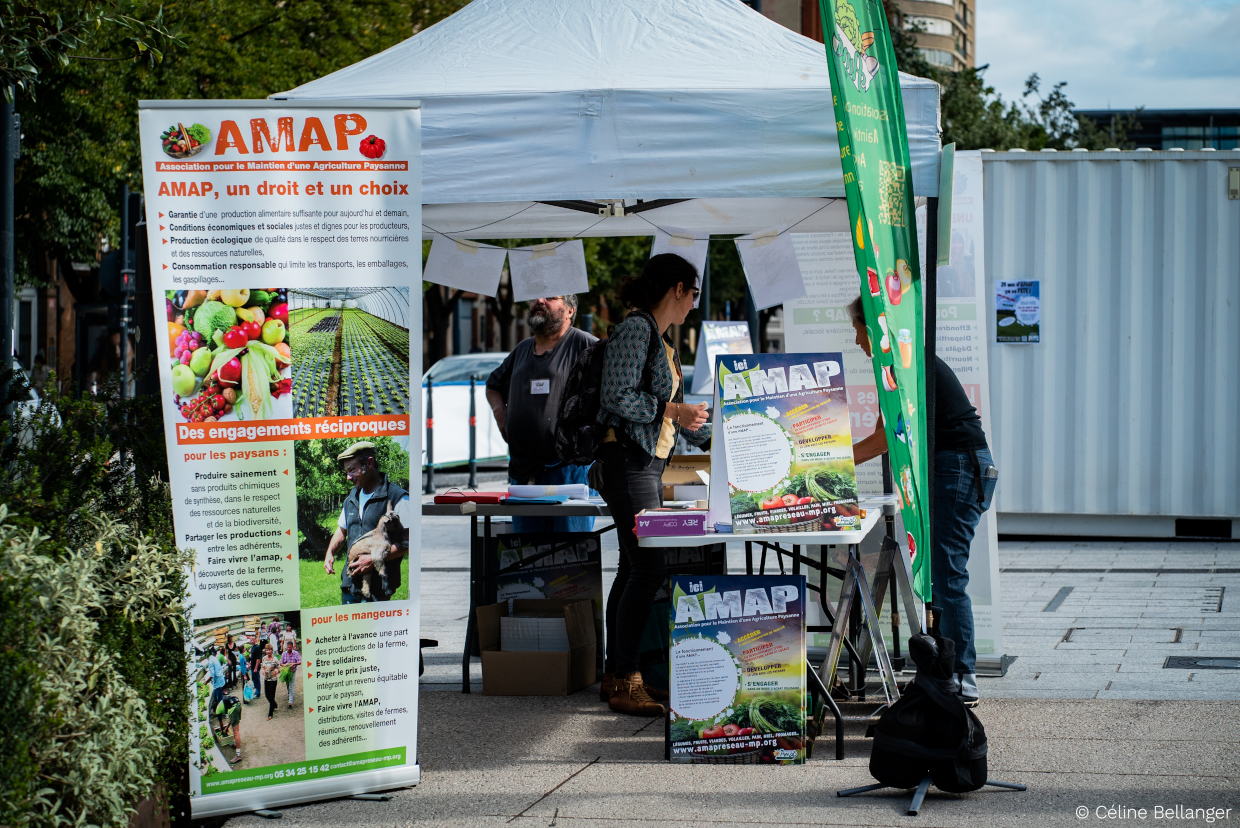20ans AMAP Toulouse 1
